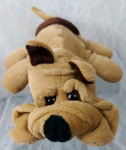 Cuddle wit happy puppy dog - cuddle,
