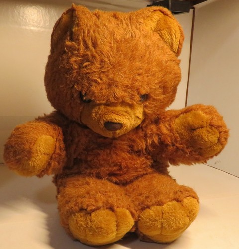 Vintage cuddle wit teddy - teddy, bear