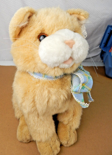 Cuddle wit kitty cat - cat, yellow